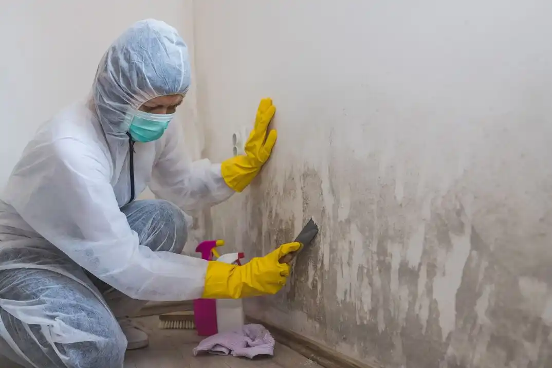 water damage restoration service Garfield Estates